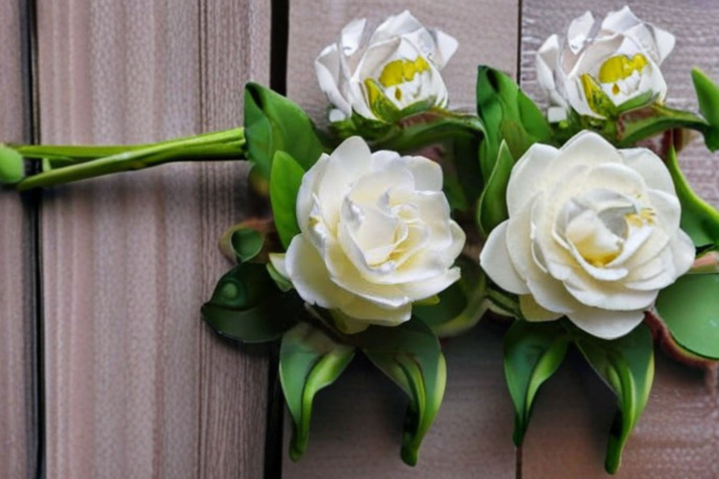 Gardenia Veitchii Live Plant – Fragrant White Evergreen Shrub for Garden, Landscape, Hedge, or Focal Point