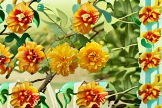 Japanese Rose Cuttings – Kerria japonica – Bright Yellow Blooming Shrub – Garden Plant Propagation