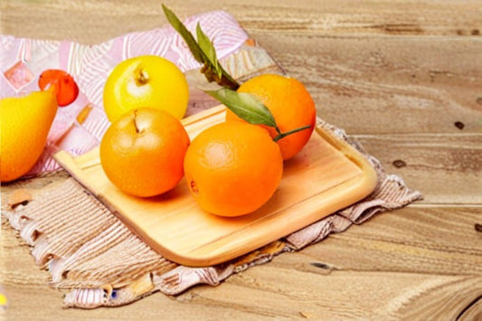 Navel Orange 3 Scions – Citrus sinensis – Seedless, Juicy Fruit Tree for Home Gardens, Easy to Grow, Warm Climate Citrus Plant