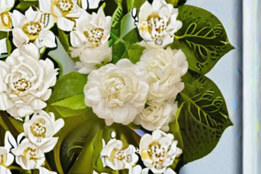 Grand Duke of Tuscany Jasmine Live Plants – 2 Starter Plants – Jasminum sambac – Fragrant White Blooms for Indoor Outdoor Garden