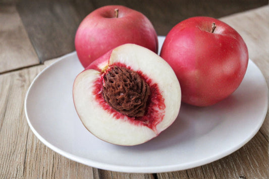Nectaplum 5 Scions – Prunus spp. – Fruit Tree for Nectarines and Plums – Juicy, Sweet Berries for Fresh Eating & Baking