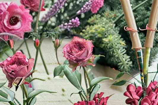 Nachuru Test Rose Live Plant – Fragrant Japanese Cut Rose – Lush Blooming Flower – Rosa hybrida