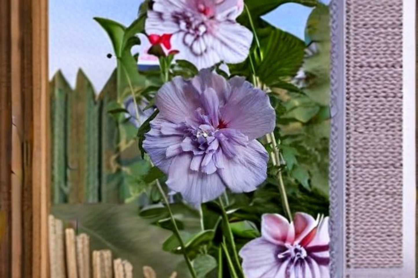 Rose of Sharon Cuttings – Hibiscus syriacus – Vibrant Flowering Shrub for Garden, Easy to Root and Maintain