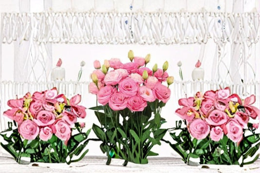 Lisianthus Rosita Plant – Eustoma grandiflorum – Elegant Flowering Perennial for Garden or Container Cultivation