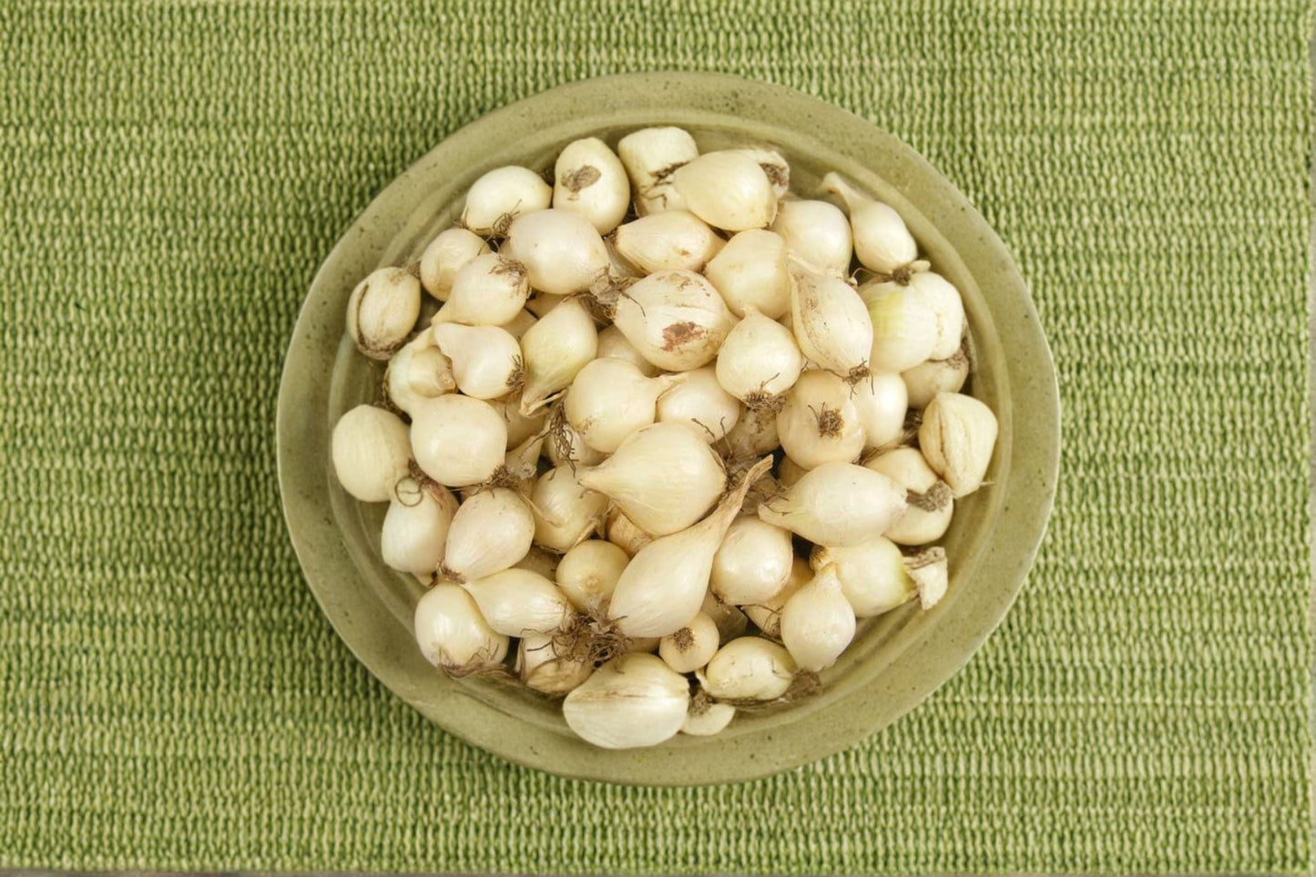 White Ebenezer Onion Bulbs – 8 oz Non-GMO Allium cepa Sets for Gardening, White, Mild, Sweet Flavor