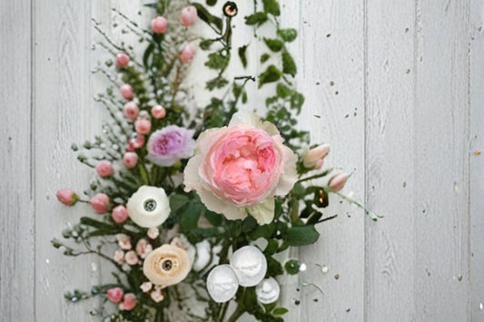 Live Pink Rose Plant – Fragrant Repeat Blooming M-Perzik Rosa