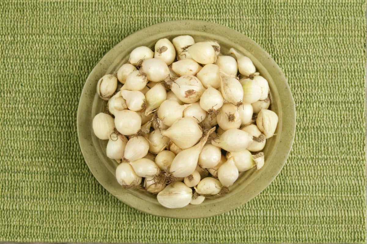 White Ebenezer Onion Sets 8 oz - Non-GMO Allium cepa Bulbs for Vegetable Garden, Raised Beds, and Edible Landscapes