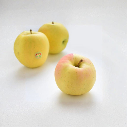 Japanese Aomori Toki Apple Tree – Malus domestica Bare Root Tree, Sweet Peachy Flavor, 32 Inches Tall, Fruit Tree for Garden or Orchard