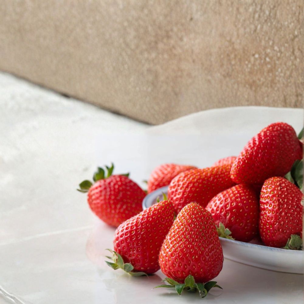 5 Kaorino Japanese Strawberry Plants – Fragaria × ananassa Bare Root Plants, Premium Sweet Aromatic Strawberry Variety