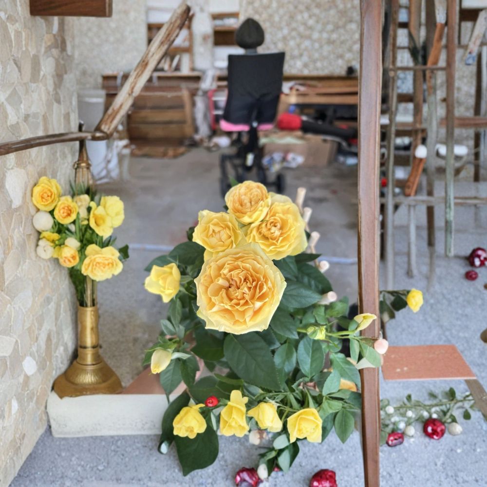 Yellow Miniature Live Plant – Compact Indoor Outdoor Flowering Plant 4–8 Inches Tall, Bright Yellow Flowers, Easy Care Garden Starter