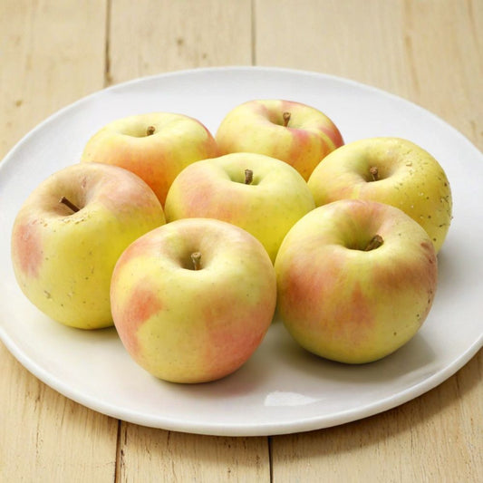 Japanese Gunma Honey Apple Tree – Malus domestica Bare Root Tree, Super Sweet Honey Apple Variety, 32 Inches Tall