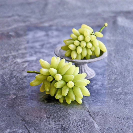Japanese Gold Finger Grape Plant – Vitis vinifera Live Vine in Nursery Pot, Premium Sweet Table Grape with Golden Elongated Fruit