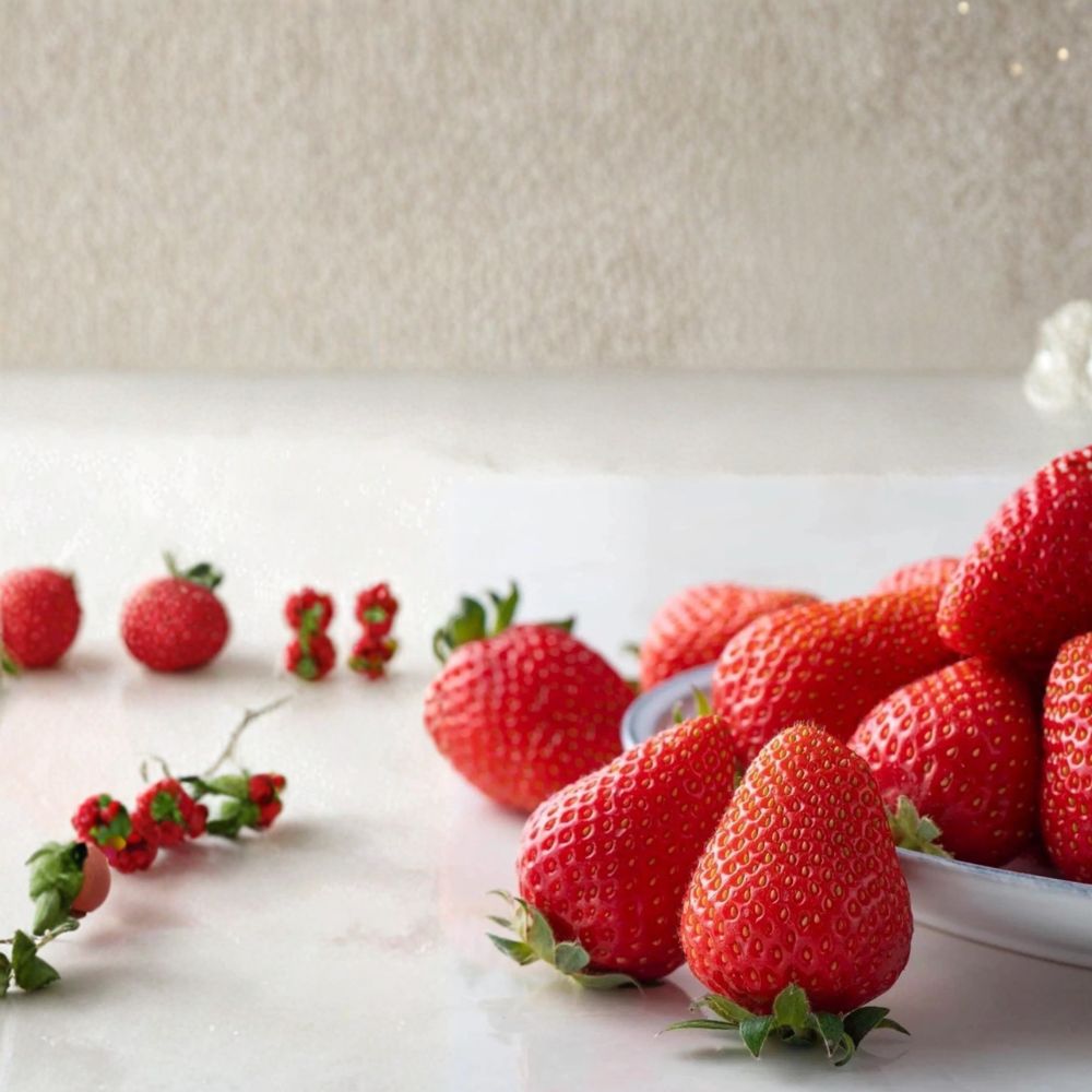 5 Kaorino Japanese Strawberry Plants – Fragaria × ananassa Bare Root Plants, Sweet Aromatic Strawberry Variety
