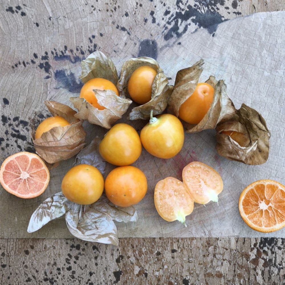 Peruvian Groundcherry Seeds – Physalis peruviana, Goldenberry Variety, Organic, Easy to Grow, Garden & Container Friendly, 50 Seeds