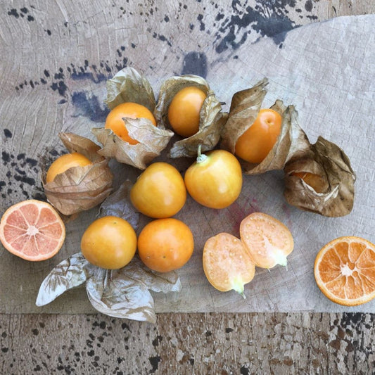 Peruvian Groundcherry Seeds – Physalis peruviana, Goldenberry Variety, Organic, Easy to Grow, Garden & Container Friendly, 50 Seeds
