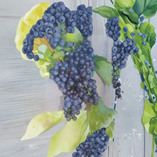 Mars Seedless Grape Vine – Vitis Live Plant, 2 Gallon, Sweet Seedless Fruit, Hardy, Easy to Grow, Home Garden, Vitis vinifera