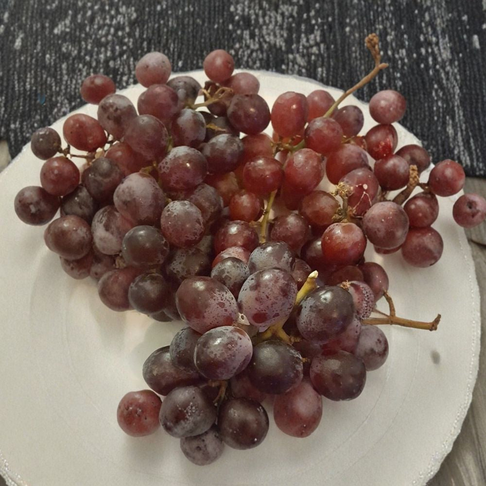 Red Globe Grape Vine – Vitis vinifera Live Plant, 1 Gallon, Self-Fertile Fruit Vine, "Do It All" Grape Variety
