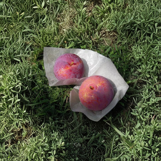 Kiyo Japanese Plum Tree – Live Potted Prunus salicina, 3 ft, Red Flesh Fruit, Sweet Large Plum Tree