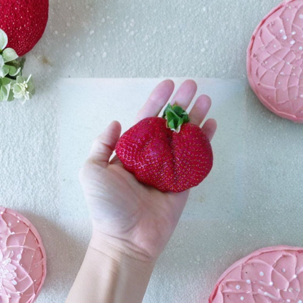 Whopper Strawberry Roots – 5 Live June Bearing Organic Strawberry Plants – Large Self-Pollinating Berry Plants for Zones 5–10