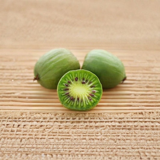 Issai Hardy Kiwi Plant – Live Rooted Self-Pollinating Vine with Edible Fuzzless Fruit for Zones 3-8