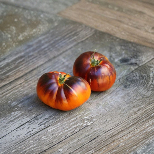 Lucid Gem Tomato Seeds – Heirloom Organic Non-GMO Seeds | Solanum lycopersicum | Wild Boar Farms Variety