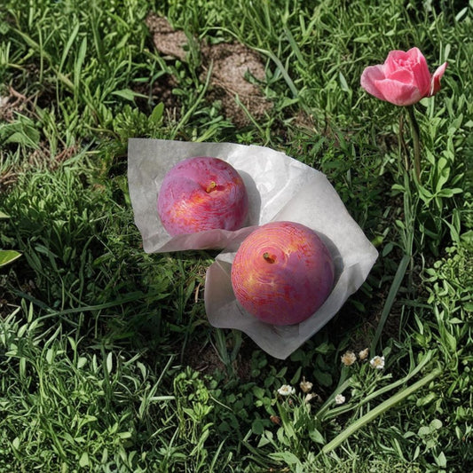 Kiyo Japanese Plum Tree – Live Potted Plant, 3 Ft, Sweet Red Fruit, Prunus salicina, 貴陽 (きよう)
