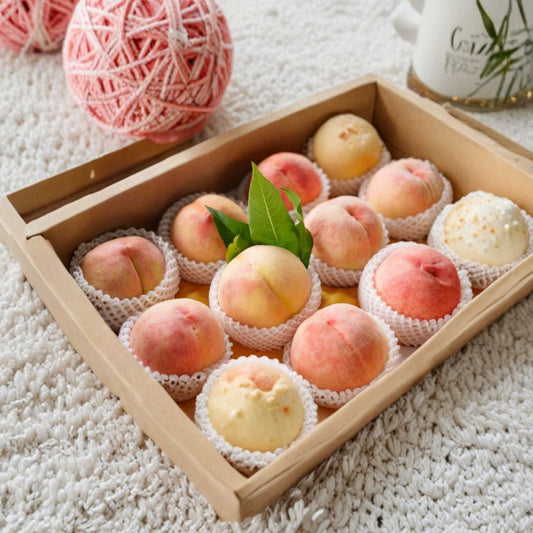 Hujing Honey Peach Tree – Live Prunus persica Fruit Tree | Yangshan Sweet Juicy Peach | Chinese Garden Orchard Plant