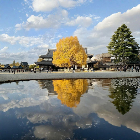 Japanese Ginkgo Tree Potted Plant | Ginkgo biloba Golden Fall Foliage Hardy Ornamental Tree