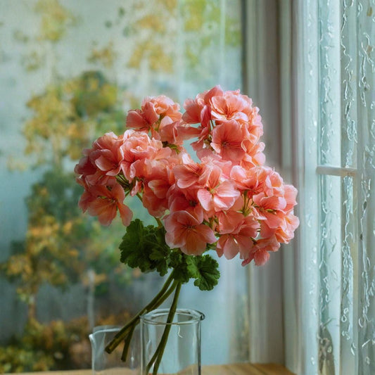 Maverick Salmon Geranium Seeds – Pelargonium hortorum F1 Hybrid, Salmon Blooms, Patio & Container Plant, Easy to Grow, 10 Seeds