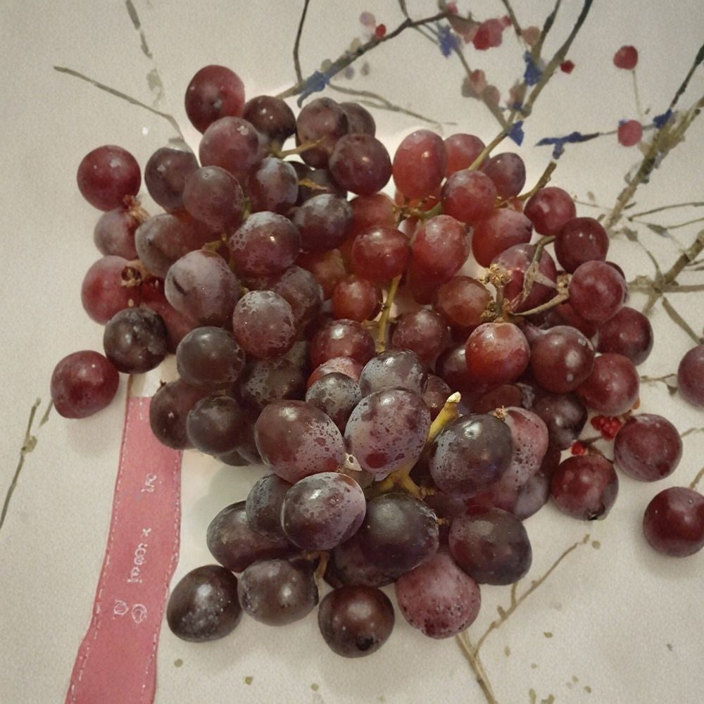 Red Globe Grape Vine – Vitis vinifera 1-Gallon Live Plant, Self-Fertile Fruit Vine for Home Gardens