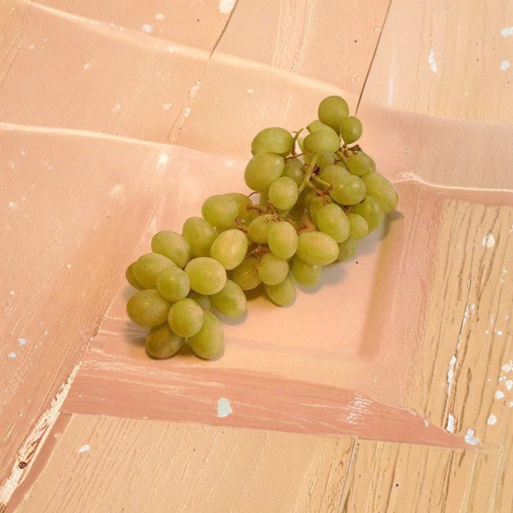 Chardonnay White Wine Grape Vine – Vitis vinifera, Self-Fertile Fruit Plant, 3-Gallon Size, Premium White Wine Grape, Easy to Grow