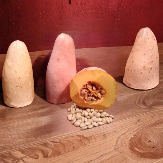 North Georgia Candy Roaster Squash Seeds – Heirloom Organic Non-GMO Winter Squash Seeds | Cherokee Heritage Cucurbita maxima