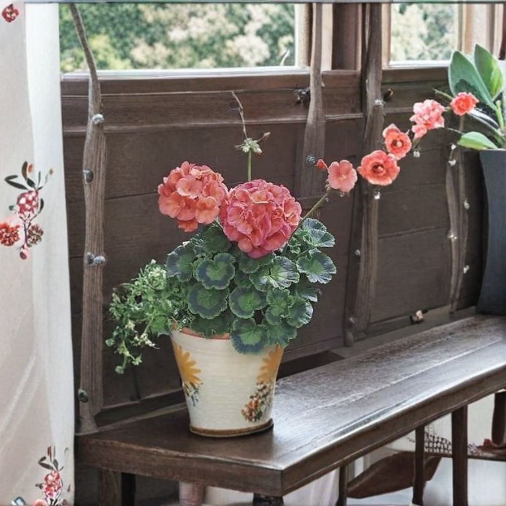 Geranium Maverick Coral Seeds – Bright Coral Orange Blooms, Easy to Grow, Garden & Pot Geranium, Pelargonium | 1,000 Seeds