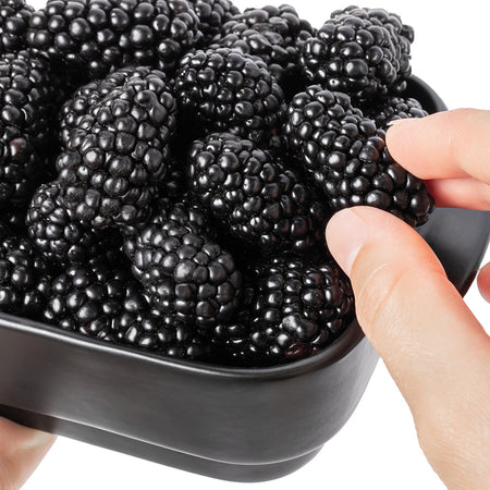 Big Daddy Thornless Blackberry Plants – Rubus hybrid Bare Root Bushes for Garden, Patio, or Home Orchard