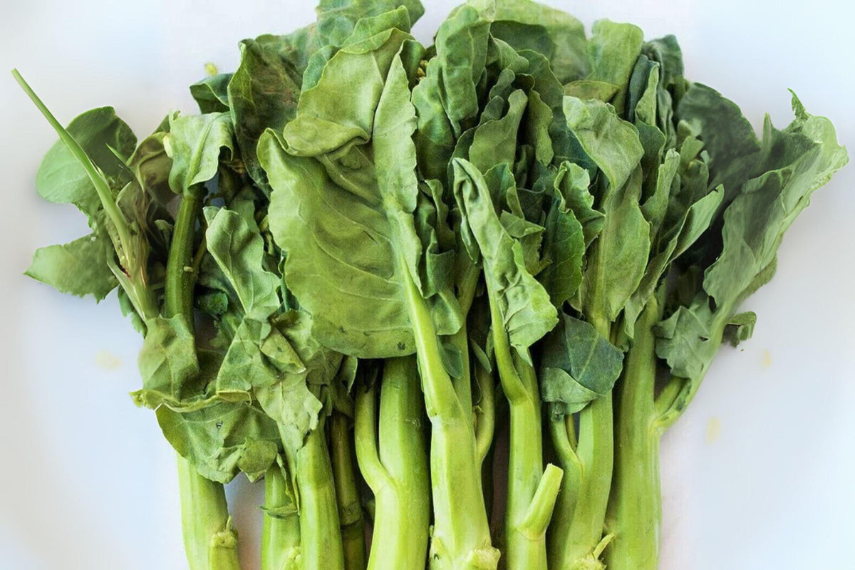 Wan Shen Kailan Seeds: Chinese Broccoli for Stir Fry - 150 Heirloom Seeds
