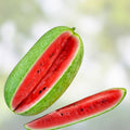 Watermelon Seeds Charleston Grey Heirloom Citrullus lanatus 500 Count Garden Planting Starter Seeds