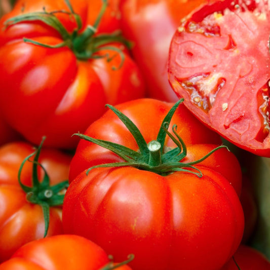 Heirloom Tomato Seeds 100 Count Red Ponderosa Non-GMO Organic Vegetable Seeds for Home Garden