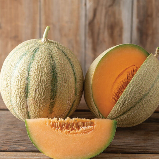 Melonade Cantaloupe Seeds 10 Pack – Sweet Flavor, High Yield, Fast Growing Cucumis melo Melon Seeds for Planting