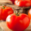 Beefsteak Tomato Starter Plants Set of 2 – Heirloom Juicy Red Lycopersicum Beefsteak Live Plants