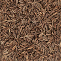 Caraway Herb Seeds 100+ Pack Organic Culinary Planting Carum carvi Bare Root Starter Live Plant Cutting