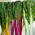 Swiss Chard Seeds 500+ Non-GMO Heirloom Perpetual Beta vulgaris subsp. cicla Vegetable Garden Planting