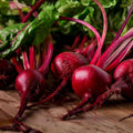 Heirloom Beet Seeds Ruby Queen Non-GMO Dark Red Beta vulgaris Vegetable Seeds 500+ Starter Plants