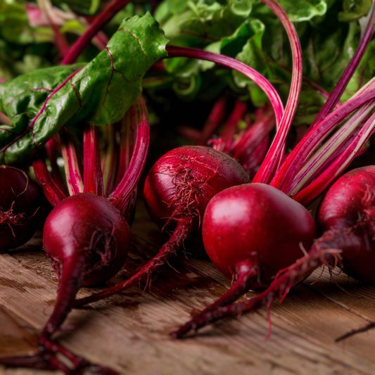 Heirloom Beet Seeds Ruby Queen Non-GMO Dark Red Beta vulgaris Vegetable Seeds 500+ Starter Plants