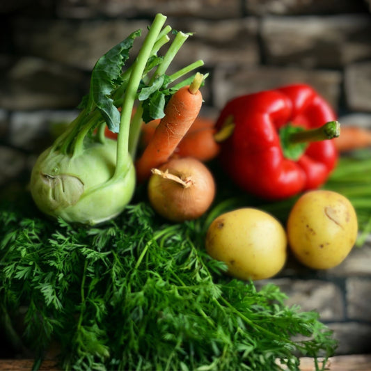 Heirloom Vegetable Seeds Collection 30 Varieties Non-GMO Organic Garden Seeds for Home Growing