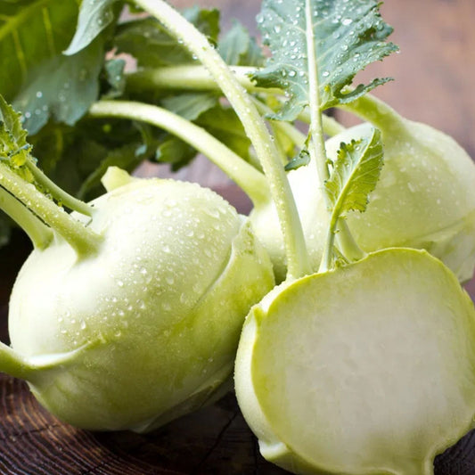 Kohlrabi Seeds 50+ Pure White Beas | Brassica oleracea var. gongylodes Vegetable Seeds for Planting