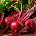 Beet Seeds Detroit Dark Red Heirloom Non-GMO 500 Pack Vegetable Seeds Beta vulgaris Live Plant or Cutting