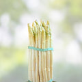 White Asparagus Seeds 100 Count for Planting, Rare Garden Vegetable, Asparagus officinalis, Edible Spring Vegetable Seeds