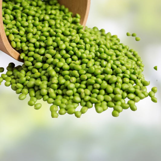 Organic Green Lentils 16 oz – Live Plant, Legumes for Cooking, Baking, Nutrient-Rich, Lens culinaris