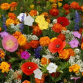Deer Resistant Wildflower Seed Mix 200 Seeds Organic Non-GMO USA Native Flower Seeds for Garden, Landscaping