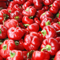 Red Pimento Pepper Seeds 500 Count – Capsicum annuum Sweet Heirloom Garden Starter Plant Cutting Bare Root